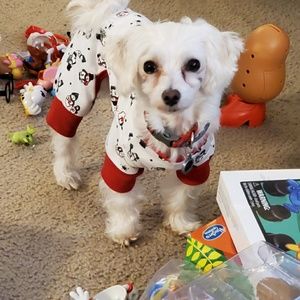 Meet your Posher, Pam